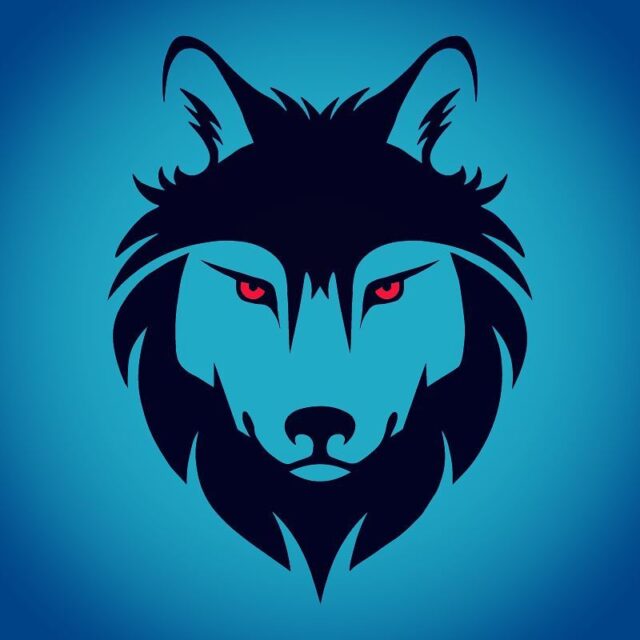 Logo wolf head #logo #logotype #design