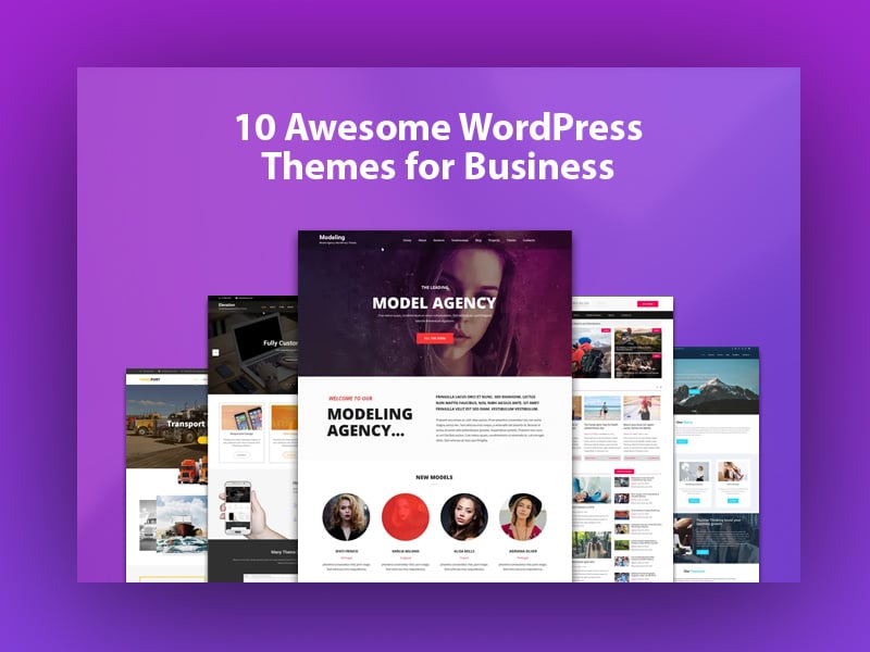 WordPress Themes